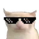 Cool_bruh_cat