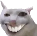 catKEK catKEK