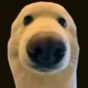 huh