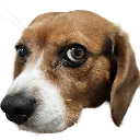 emoji_25
