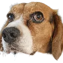 emoji_24