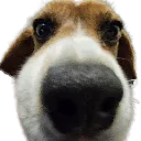 emoji_28