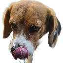 emoji_28