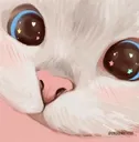 owocat
