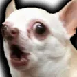 gamerk65Noshedidnt