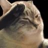 catfootsalute
