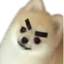 AngryDoggo
