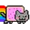 rainbowcat
