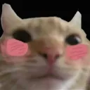 Cblush