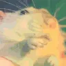 ratrave