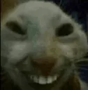 Eheheugh