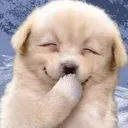 puppyGiggle