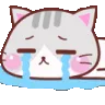 ktcatcry