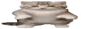 widetime5