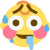 wety_melt