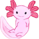8_axolotl