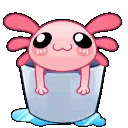 :8_axolotl_water: 8_axolotl_water
