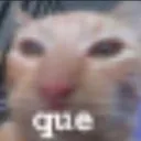 que