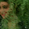 Lurk_ggGemZ