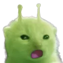 GlorpGasp