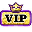 vip vip