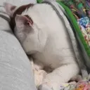 eepy_BEAM