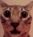 shocked
