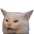 ConfusedCat