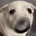 beso_confused