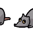 RatSlide