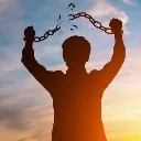 FREE