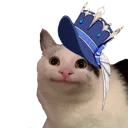 furibruhcat
