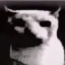 wtf
