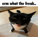 ermwhatthefreak