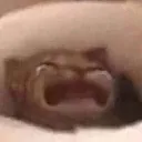 waaa_rc