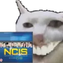 CursedCat_NCIS
