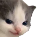 hehe