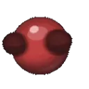 NoGooba