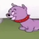 bark2