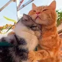 hug
