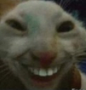 rat_hehe Discord emoji