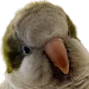 GekIrlTychoBruh GekIrlTychoBruh