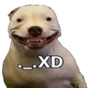 perrowqlterxd