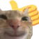 catlike