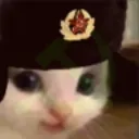 kkomhehe