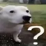 dogHmm