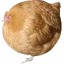 fatfATFATCHICKEN