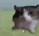 c197e1fc5e0178579c3ef6e98fb33ab1