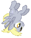 DerpFly