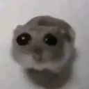 woeisme